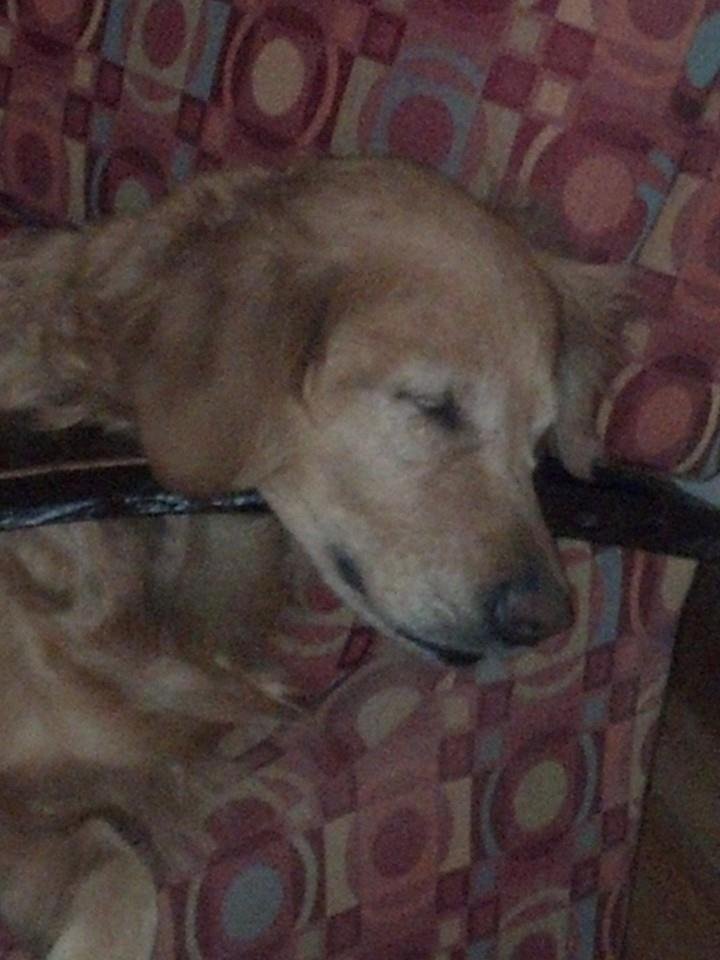 It was a hard night!