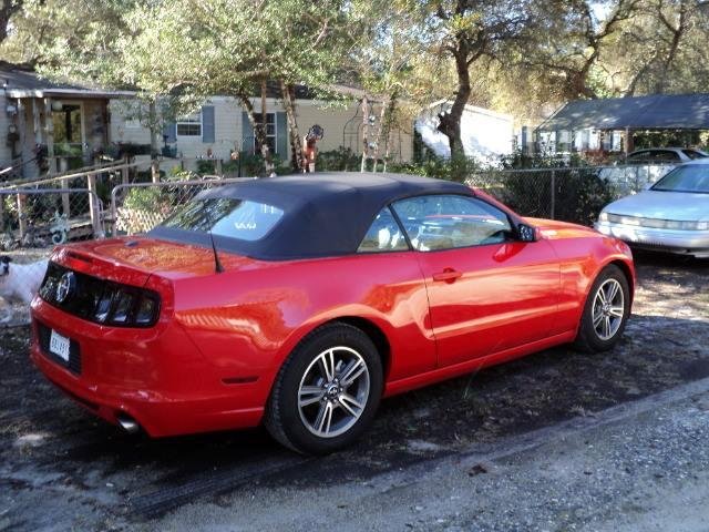Cuz's new Mustang
