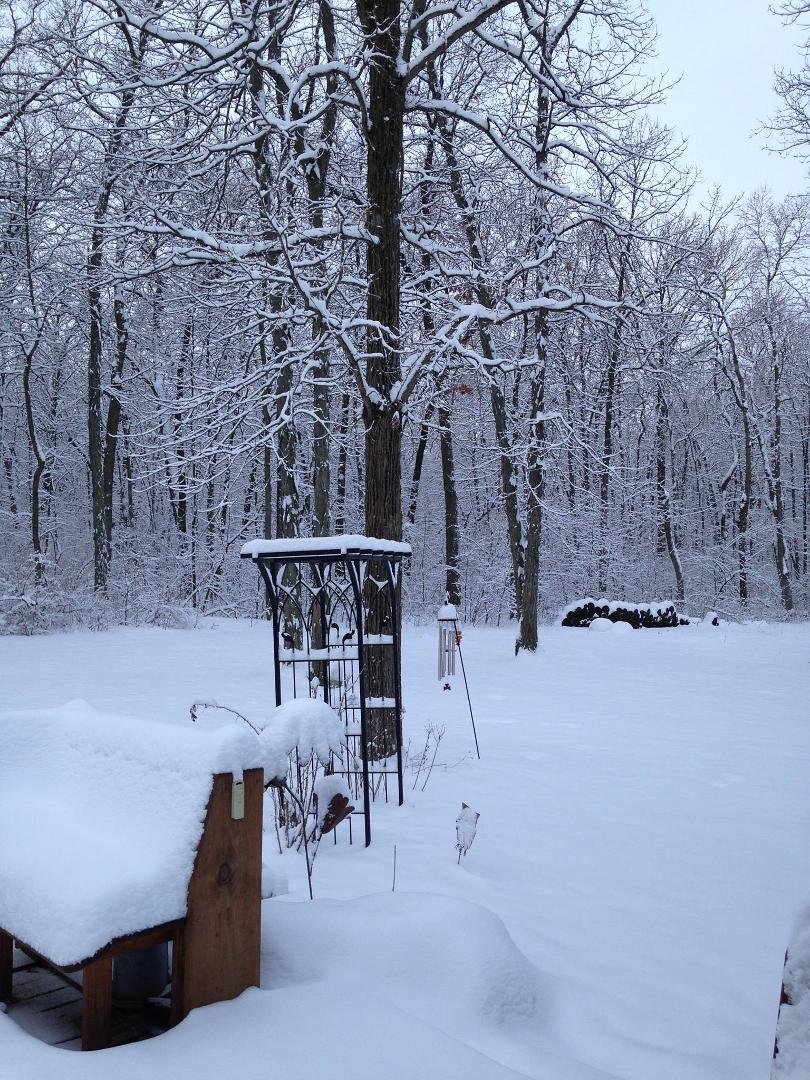 Winter wonderland just out my door