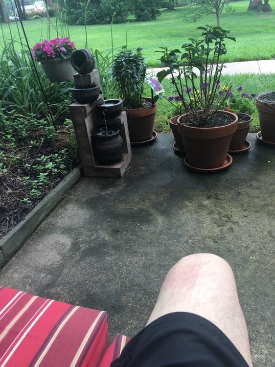 This is the third time I tried to show you I have a similar fountain! Lol
Very relaxing 😌