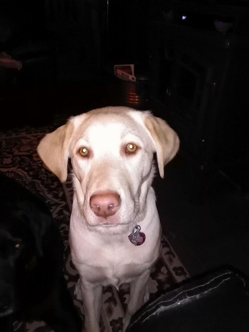 Miss Grace at 6 months