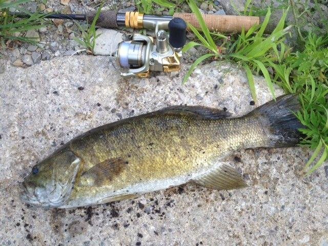 Summer 2012 Ashtabula R smallmouth