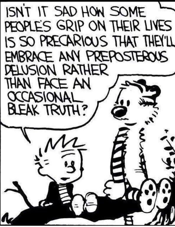 I Love Calvin and Hobbs