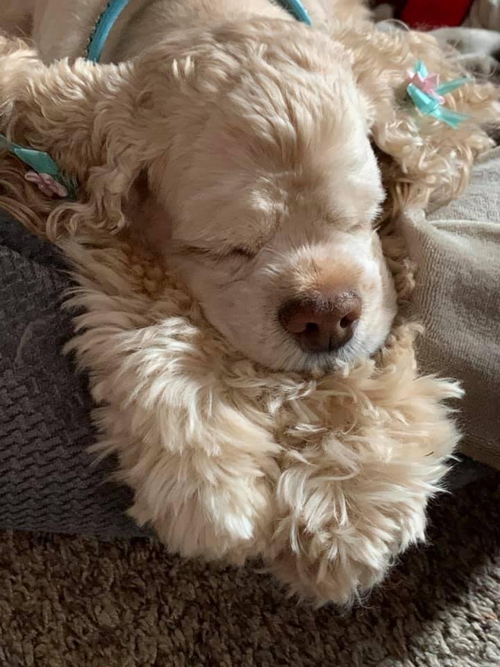 First nap is SO underrated!