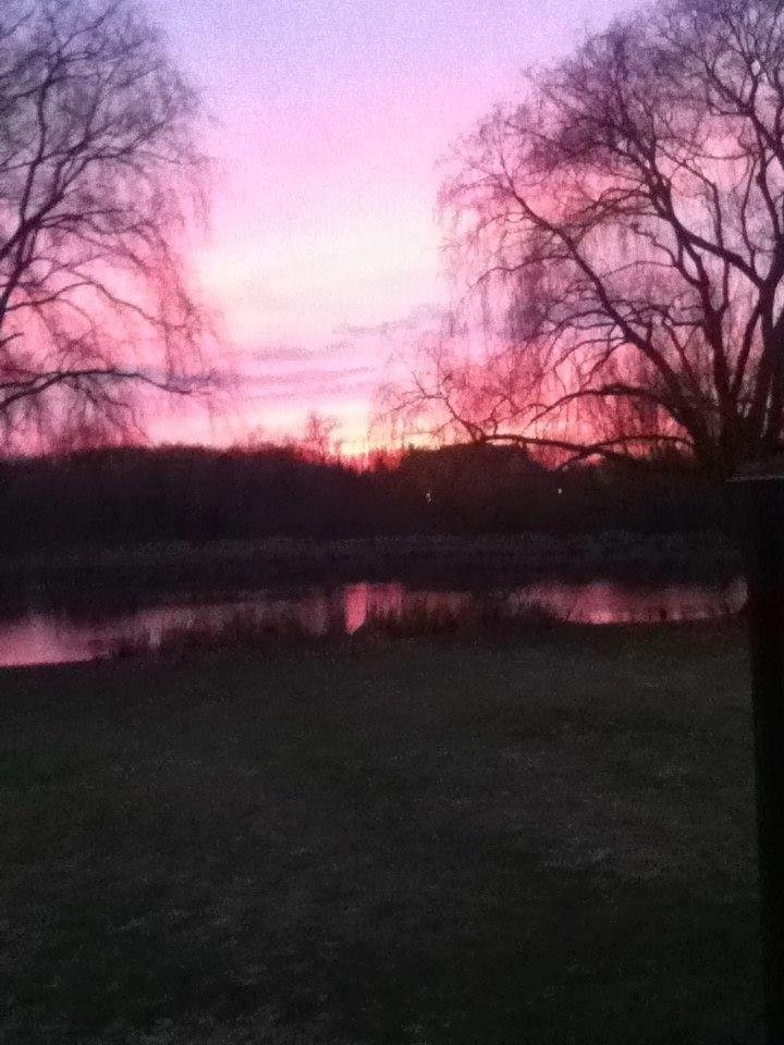 An early spring sunset in our backyard in Novi, Michigan