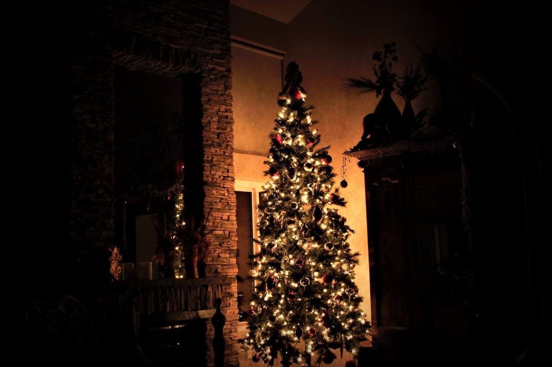 Our tree this year. May you all feel at Peace tonight! Love you whether we agree or not, we are all souls together.