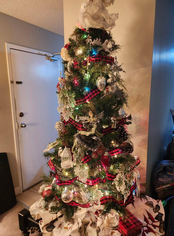 Oh Christmas tree...
