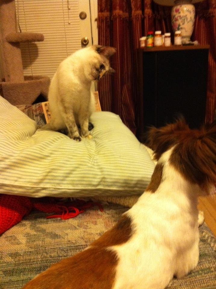 Sophie and Kacie trying to decide if they're friends or not.