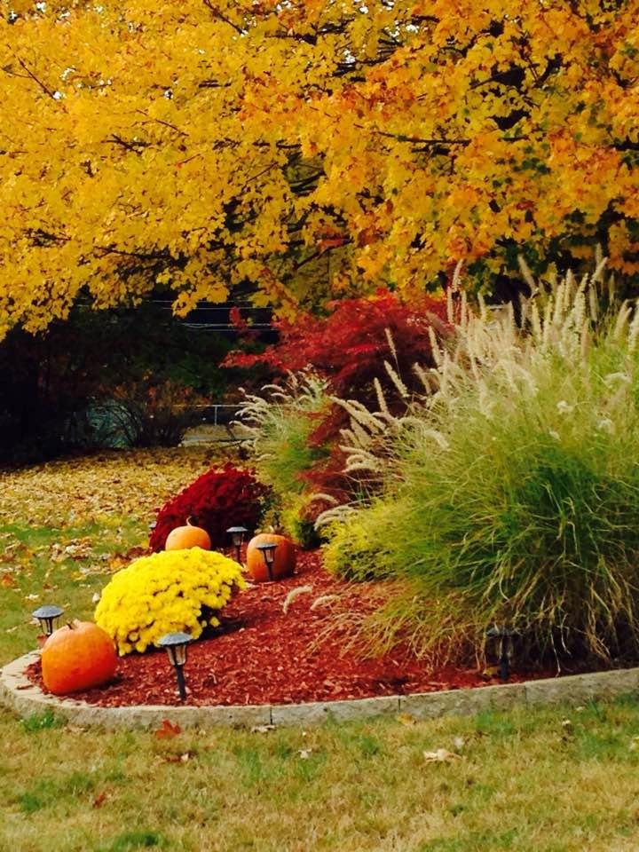 Beautiful Autumn day in Chicopee. Front yard at the house.