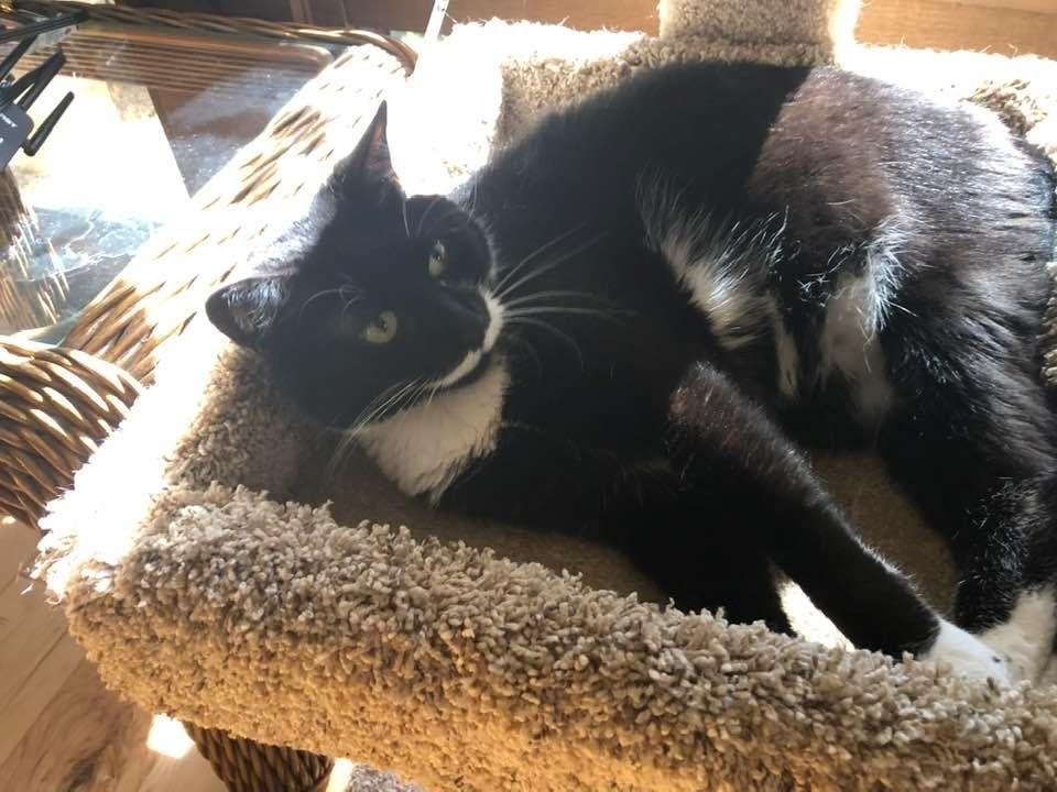 A lazy Monday afternoon in Florida