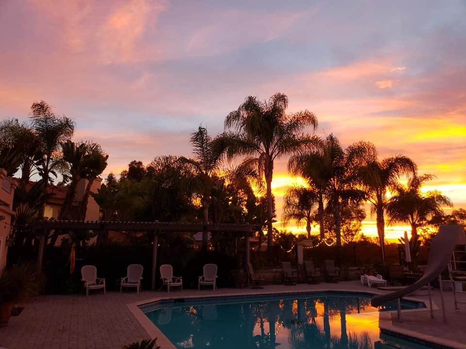 Sharon Robison's album, Mobile Uploads