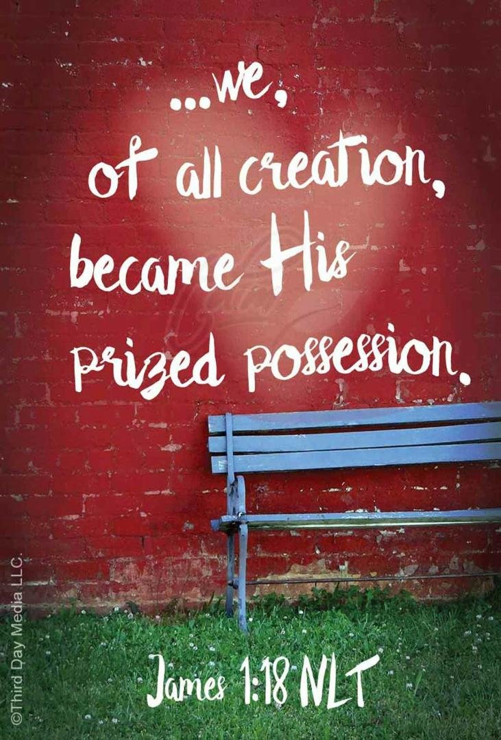 Phyllis Steverson's album, Timeline Photos