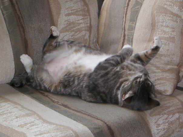 This is Oliver
