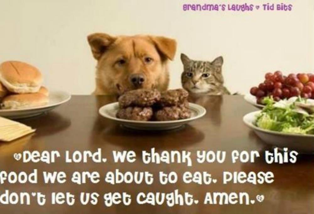 To start the weekend on a lighter note and hoping that it stays light with no drama. Wishing everyone a good weekend.