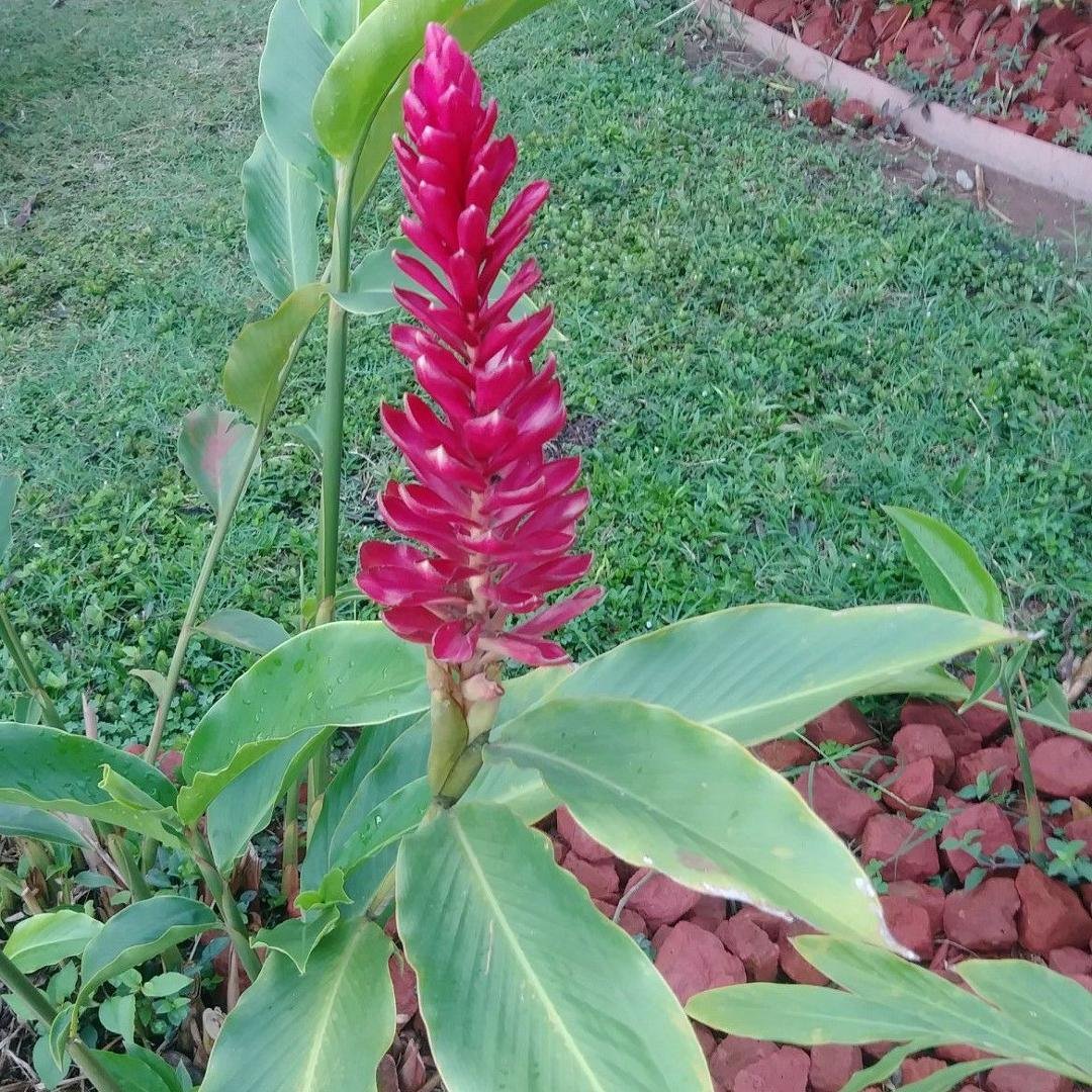 Enjoying a beautiful day in Catacamus Honduras.