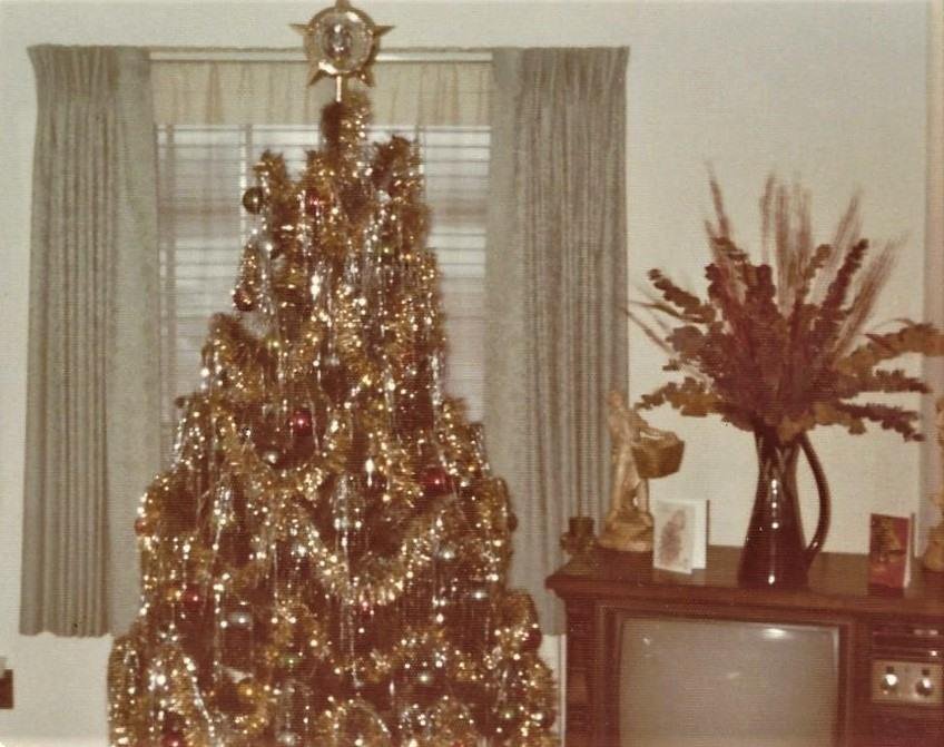 Coleman Archives
My apt on San Rae Dr. - Kettering OH
Christmas 1974