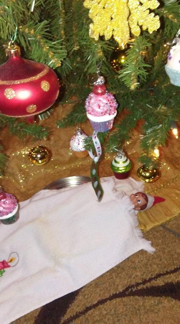 She made Andy a bed under the tree with my dish towels....lol