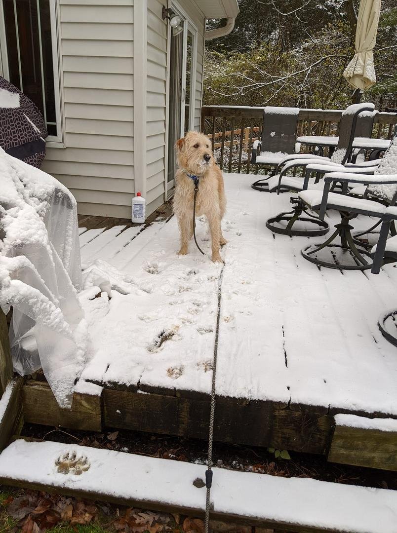 Checking out the snow!