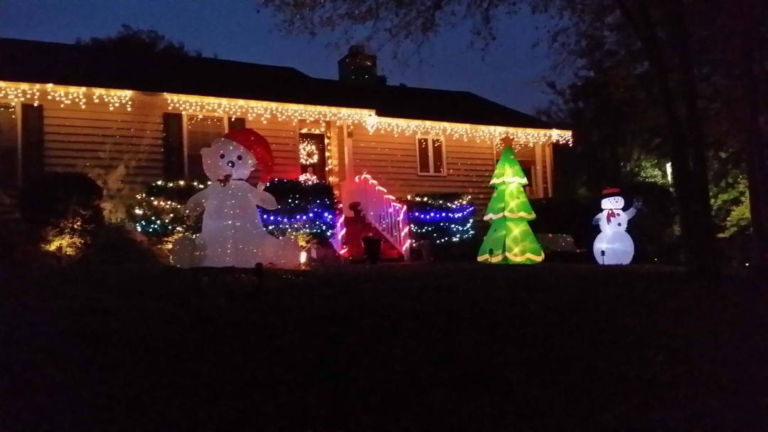 Merry Christmas Everyone !