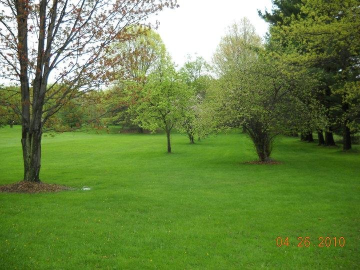 Another sunny 75 degree afternoon. Guess that means I better get out and cut the grass because this can't last forever and I got a lot to cut in just the back yard alone.