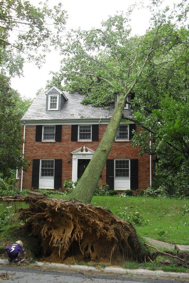 Stephen Katz's album, August 28, 2011