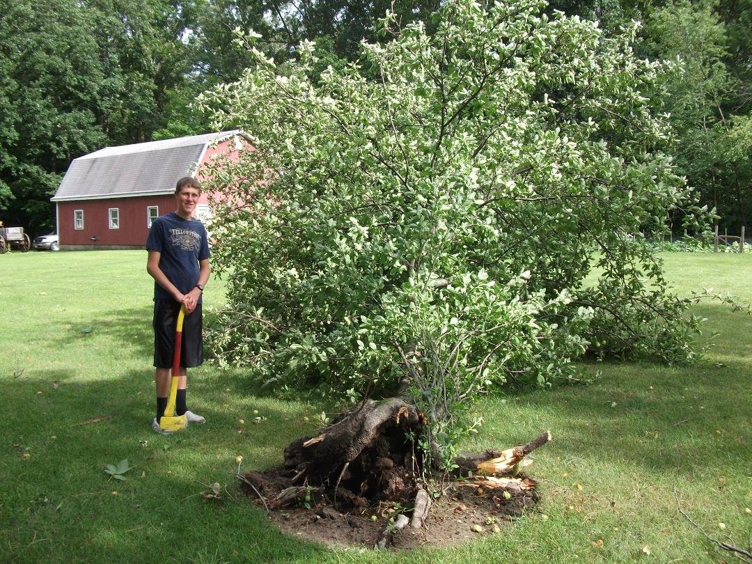 Our apple tree took a hit during the storm this afternoon.