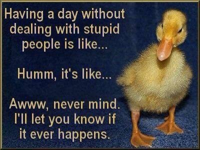 Donna Collins' album, Timeline Photos
