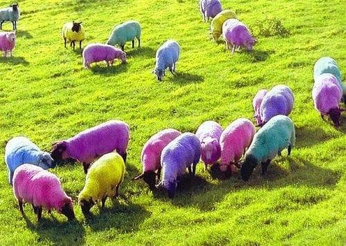 Happy Easter everyone!