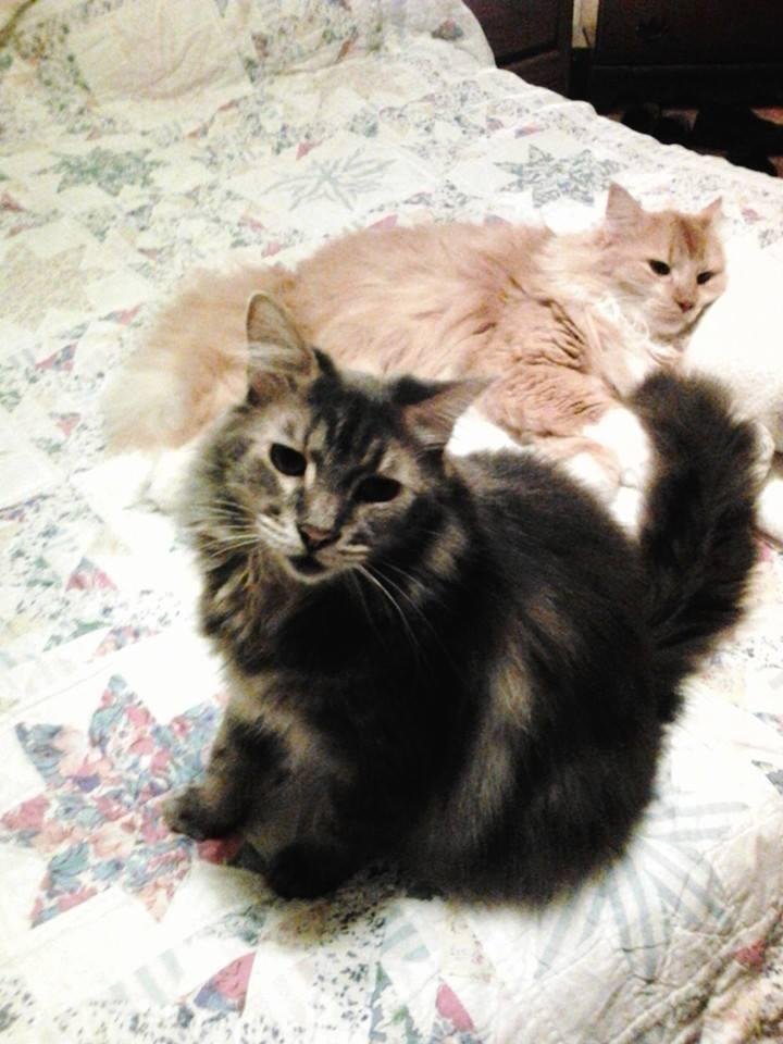 Keith Artrip's album, Mobile Uploads