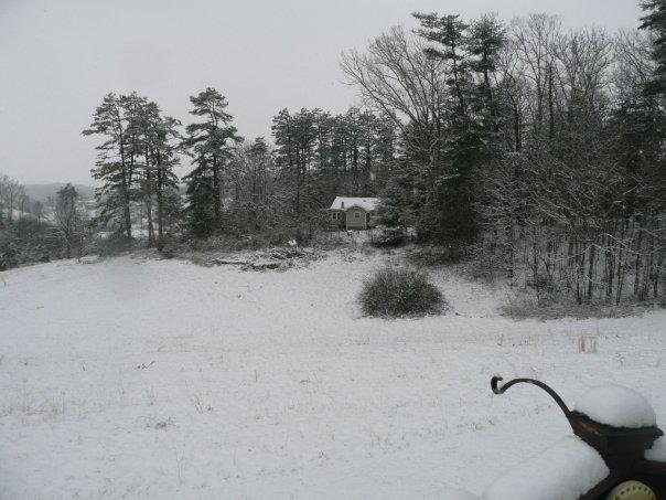 The Little House is now visible from the deck.  The big Oak tree is no longer there.
