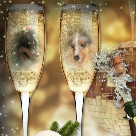 Carol Nielsen's album, Timeline Photos