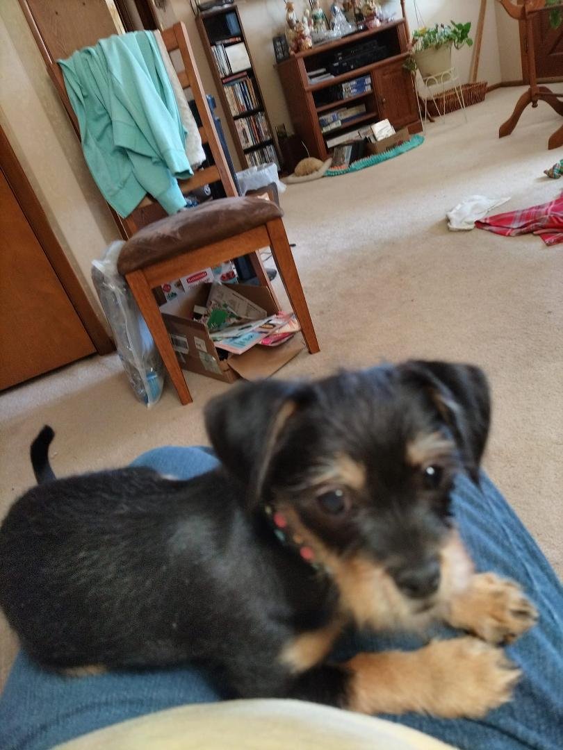 Miss Sally is getting big. 5 lbs. 3oz.