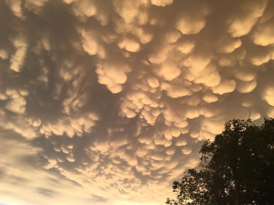 Wade Sims' album, Mobile Uploads