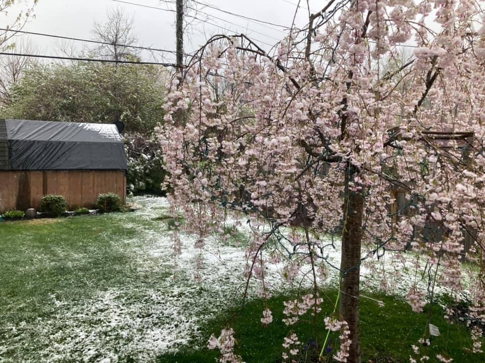 Indiana Spring!