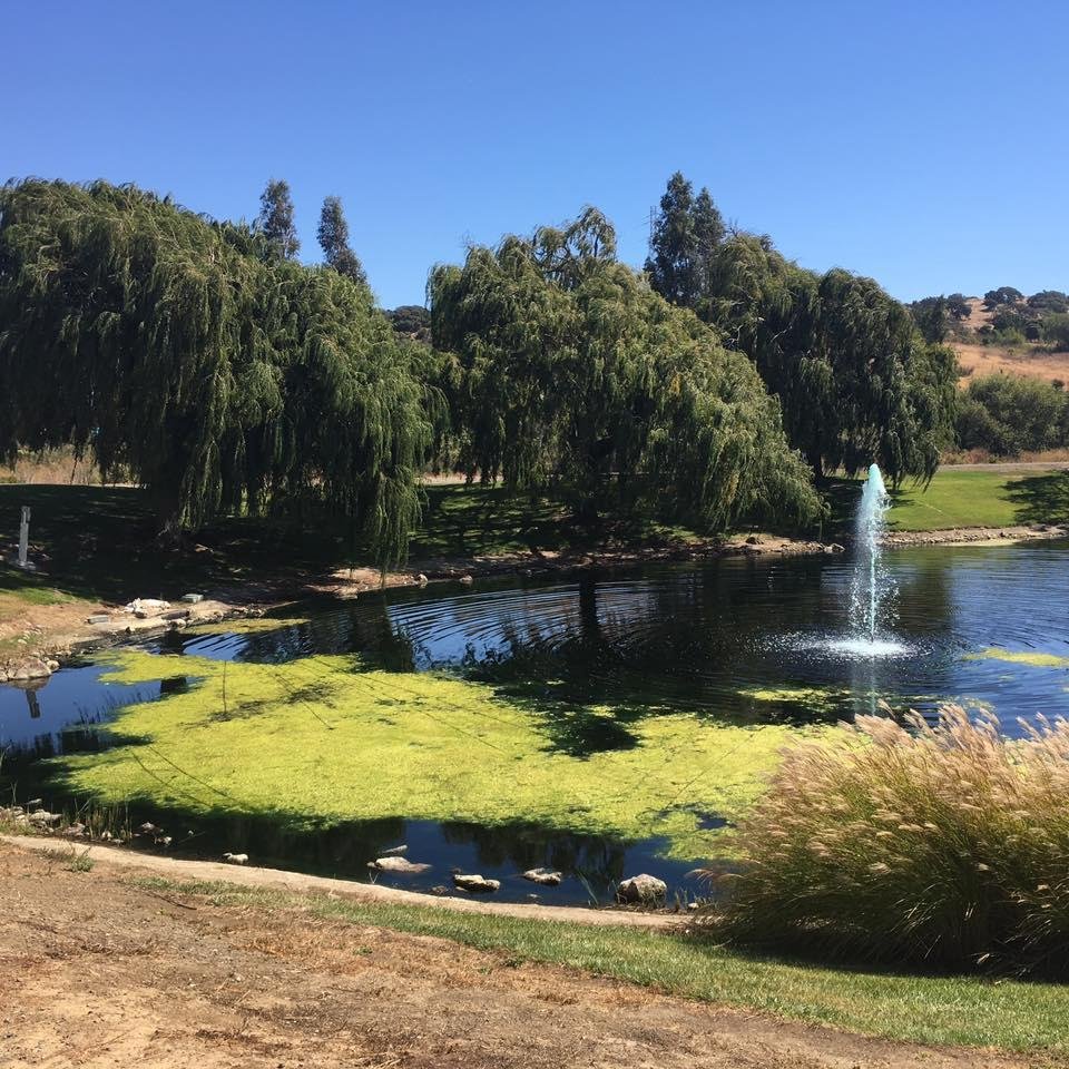 Steven Camacho's album, Mobile Uploads