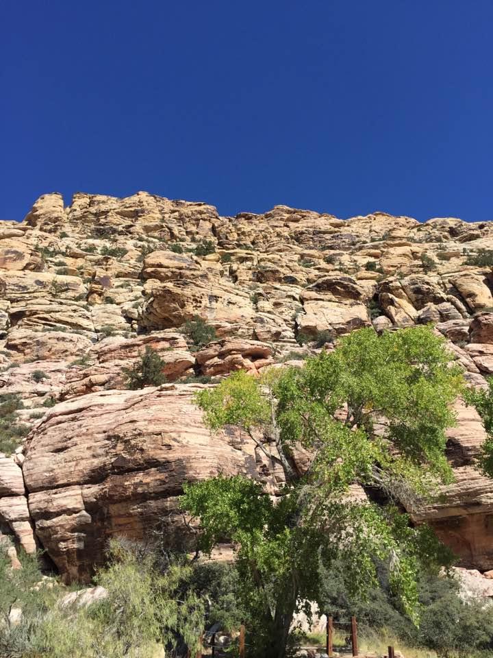Michael Boebel's album, Photos