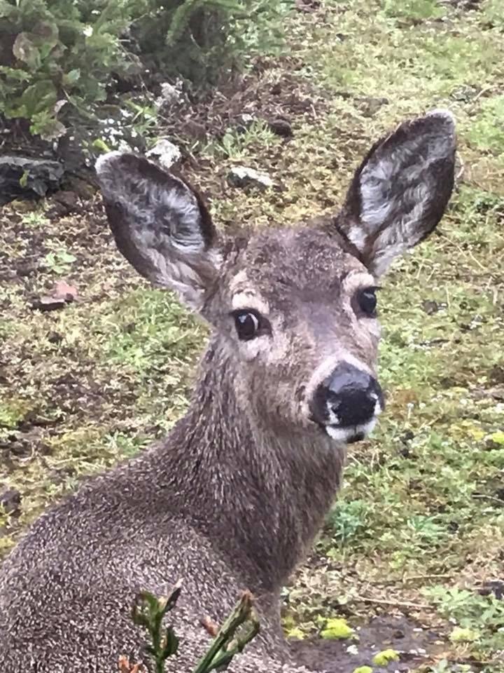 Good morning from our locals.