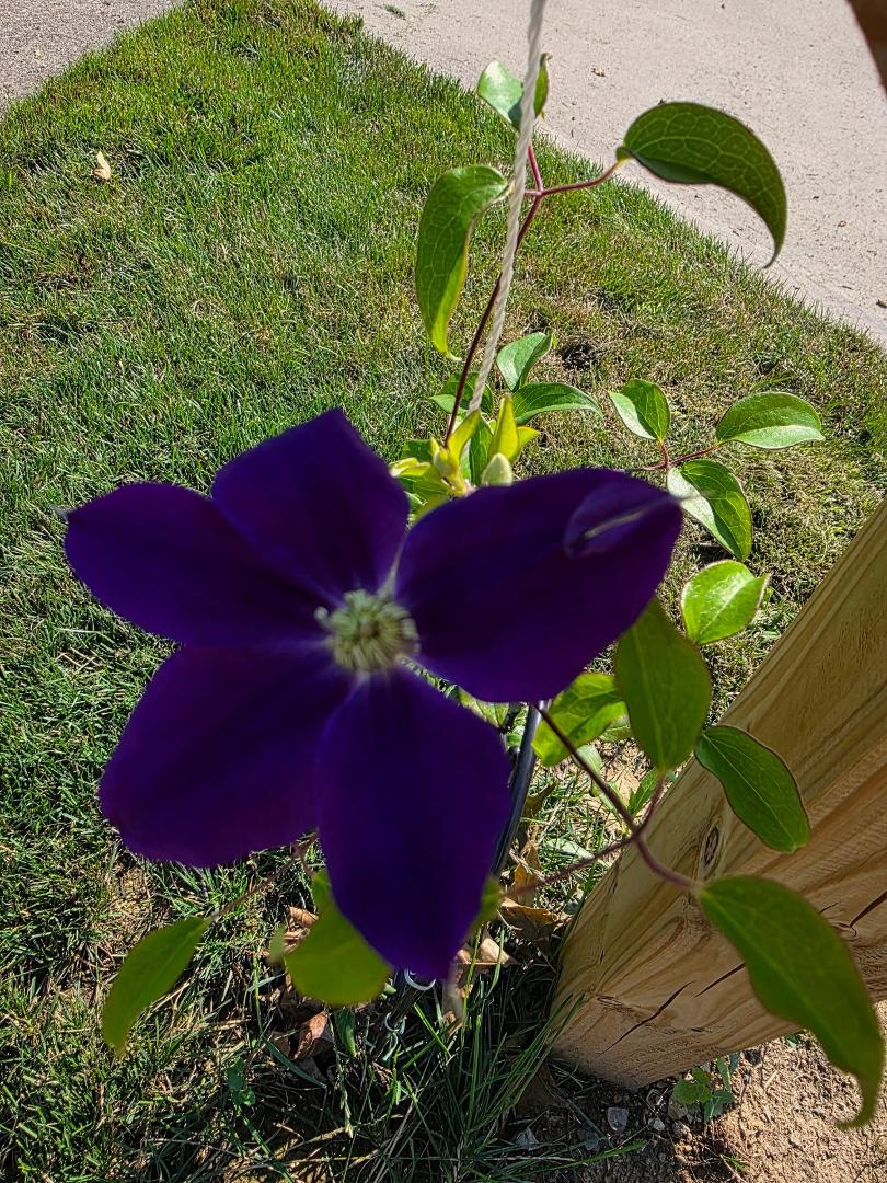 Larry Bobb's album, Timeline photos