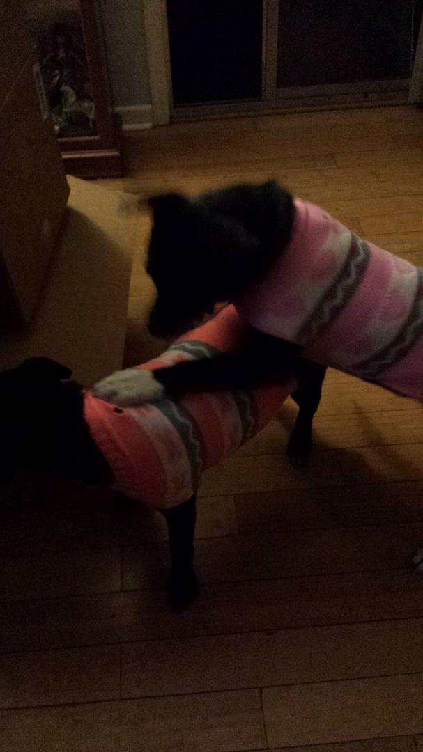 New sweaters
