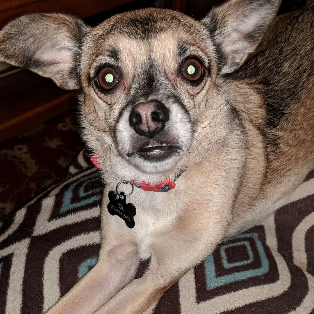 That face!
Those eyes!