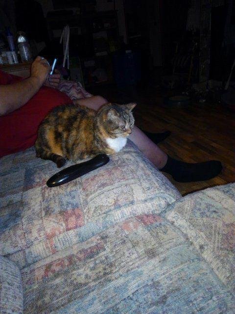 Darlene Shea's album, Timeline Photos