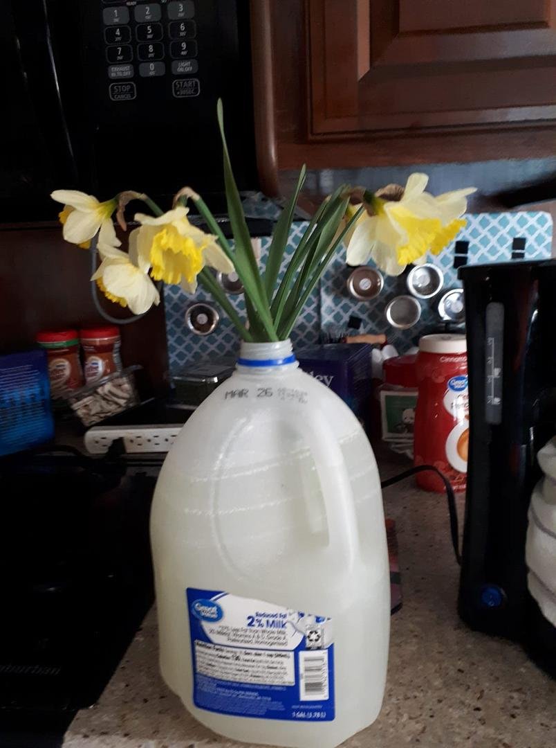 Redneck flower arrangement