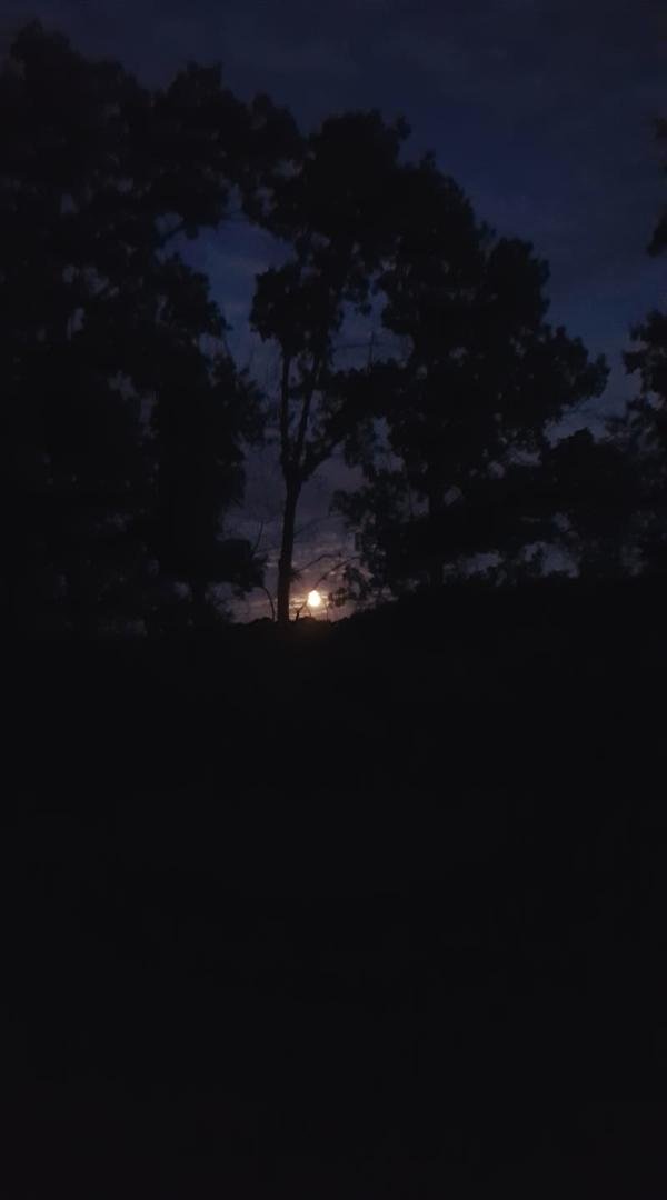 Harvest moon tonight so beautiful..