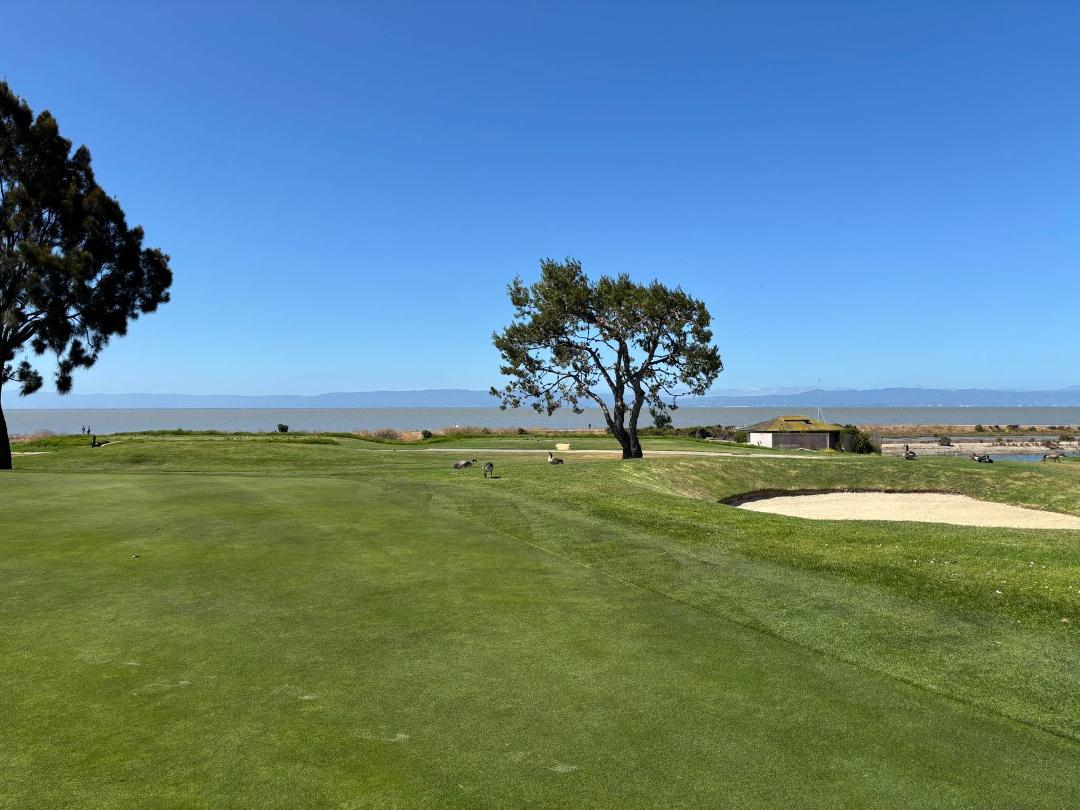 I am beyond proud to experience the 4th of July 2025 playing golf looking at the San Francisco Bay with great friends