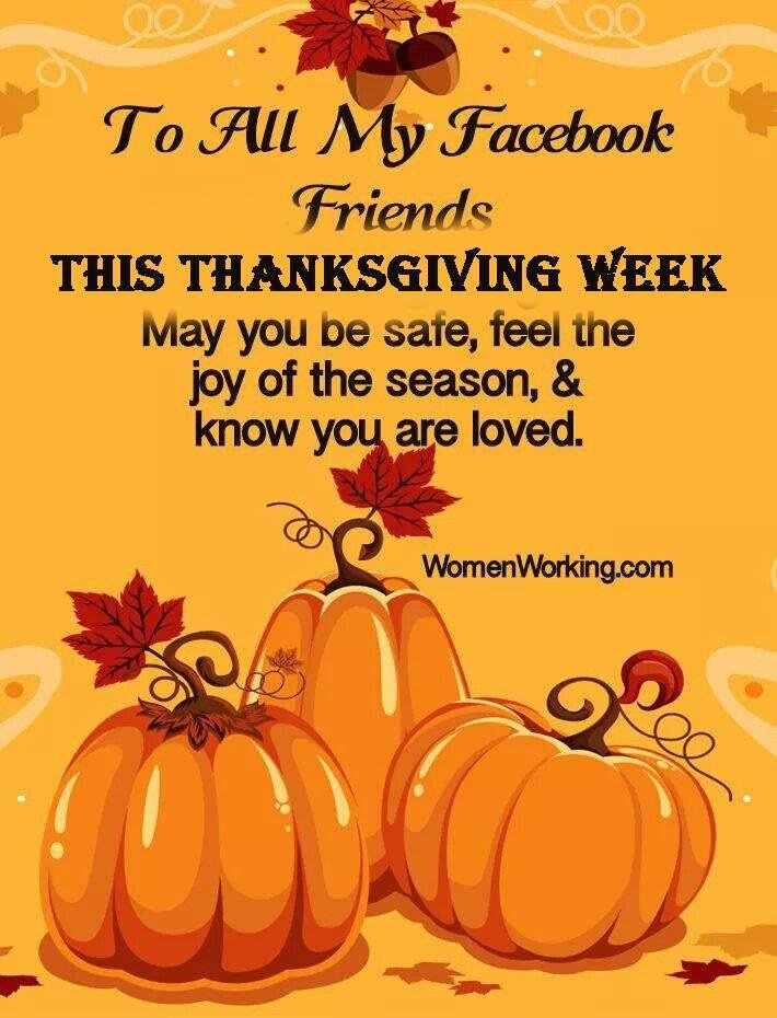 Ellen Stevens' album, Timeline photos
