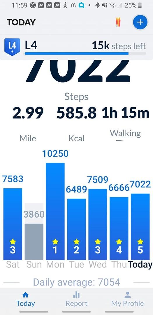 Another Walk In The Park