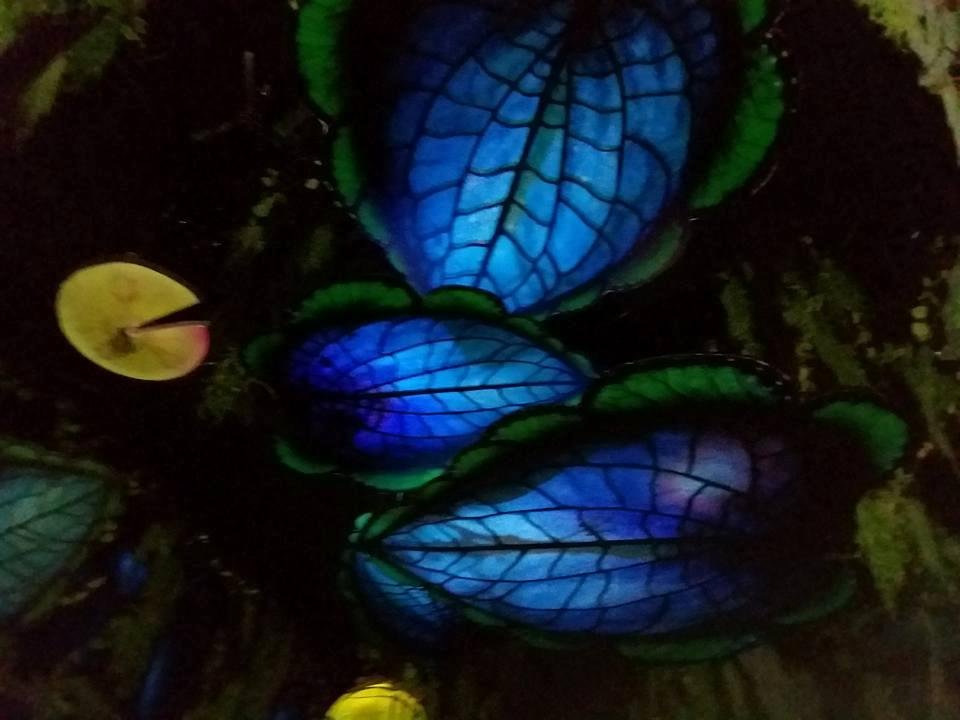 Lois Drew's album, Timeline Photos