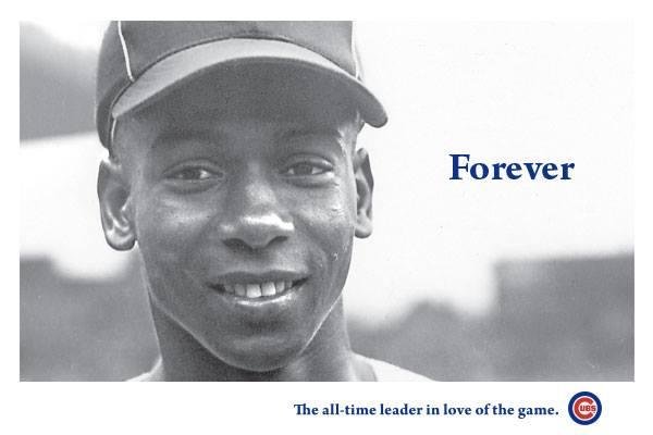 The Greatest Cub Ever!!!
