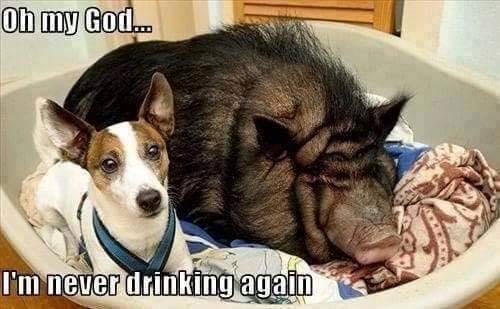 In your younger days, did you have one of these kinds of mornings?