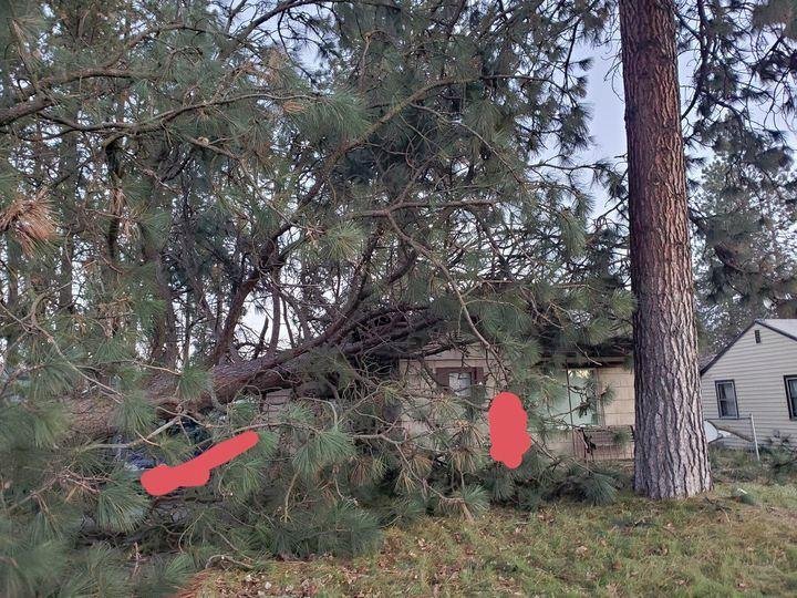 To those folks who have noticed that I have been a little absent minded lately, there is a reason. A tree landed on our son Garret's house that he shares with his girlfriend Megan. They are fine but the house took a pretty
